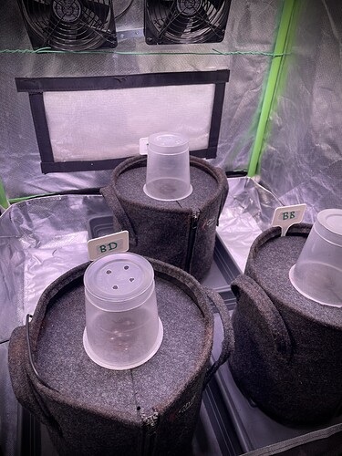 Growreport Bild 9