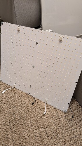 PXL_20250326_203901488.MP