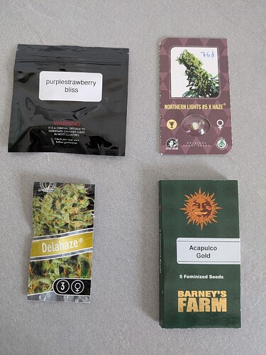 Growreport Bild 16
