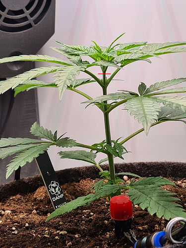 signal-2024-07-07-132334_toppen