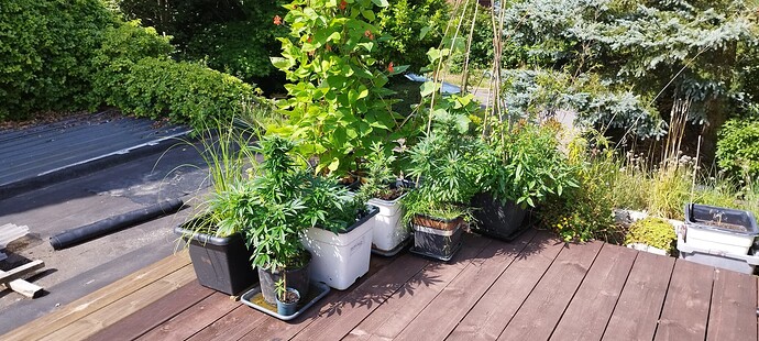 Growreport Bild 9