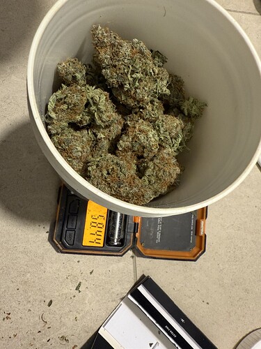 Growreport Bild 20