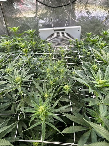 Growreport Bild 12