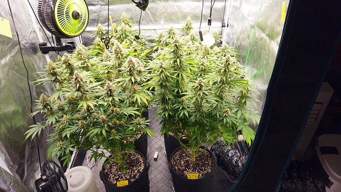 Growreport Bild 11