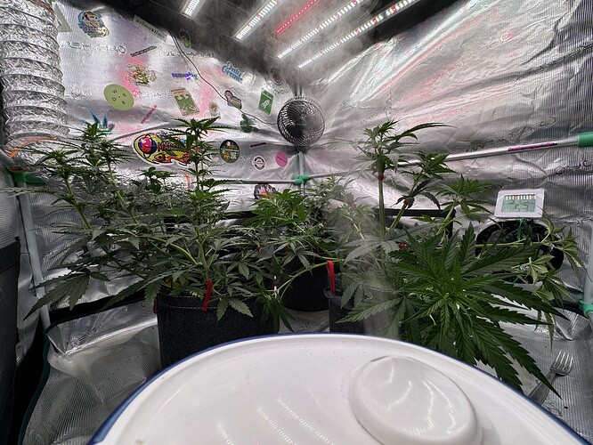 Growreport Bild 4
