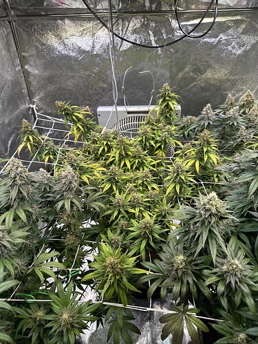 Growreport Bild 14