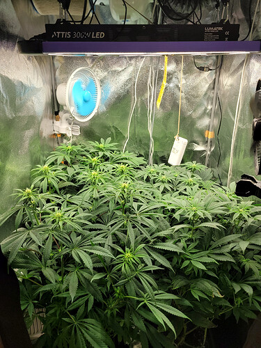 Growreport Bild 1