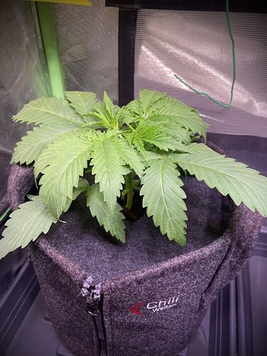 Growreport Bild 10