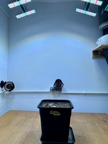 Growreport Bild 1