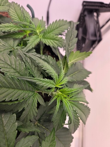 Growreport Bild 3
