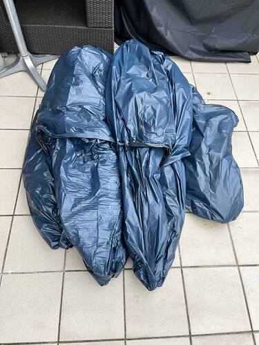 photo_2024-10-20_16-37-41