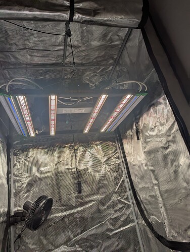 PXL_20250829_222833339.MP