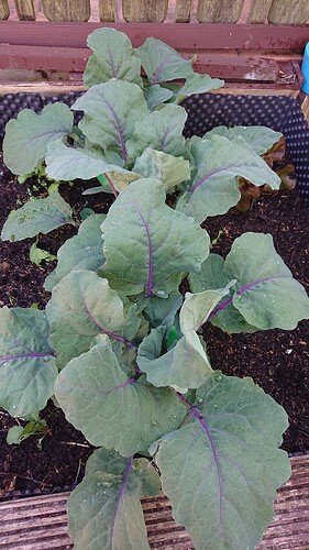 Growreport Bild 11