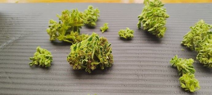 Growreport Bild 6