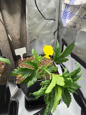 Growreport Bild 28