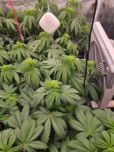 Growreport Bild 9