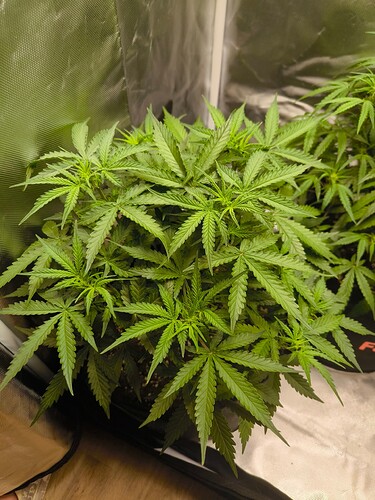 Growreport Bild 18