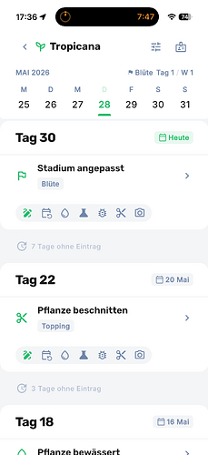 Growreport Bild 6