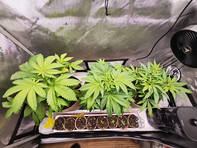 Growreport Bild 16