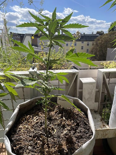 Growreport Bild 14
