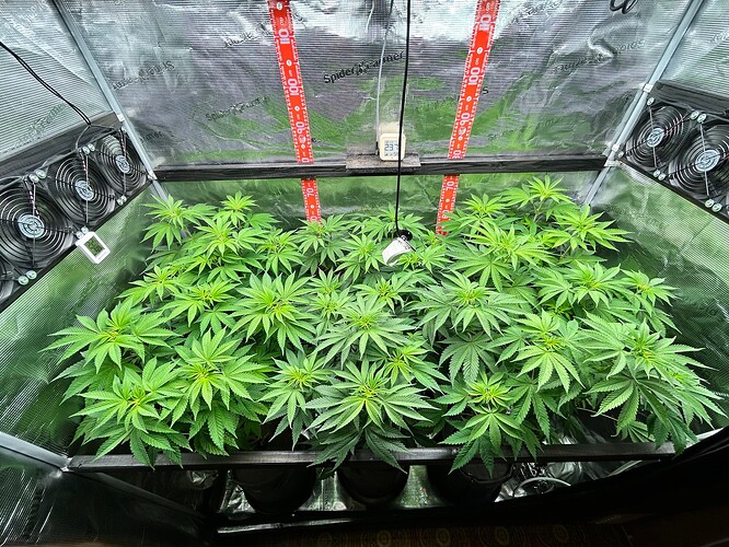Growreport Bild 13