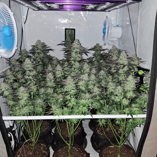 480623231_122168870852293599_43872144795670474_n