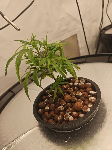 Growreport Bild 13