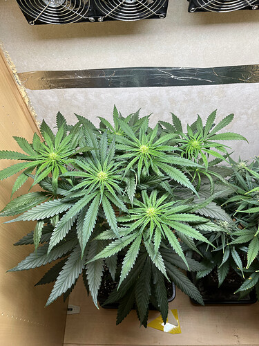 Growreport Bild 11