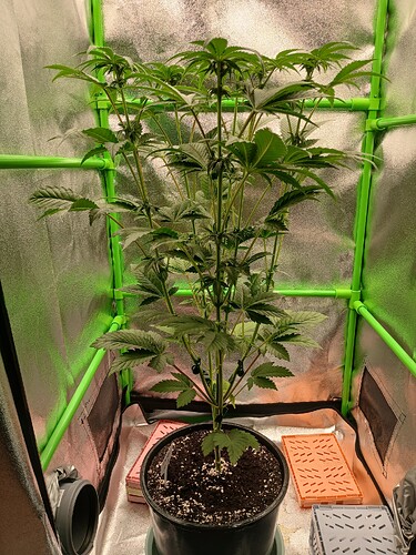 Growreport Bild 9