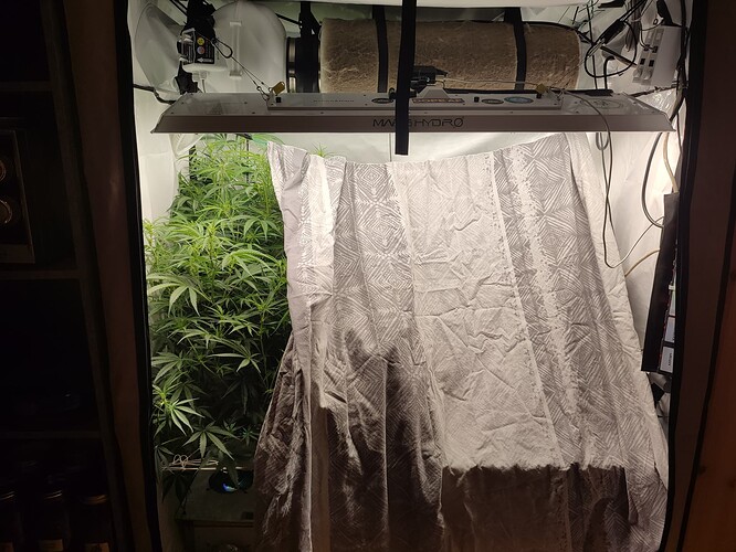 Growreport Bild 13