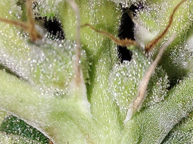 Growreport Bild 8