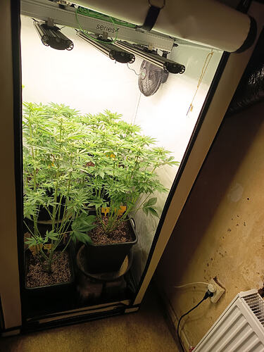 Growreport Bild 4