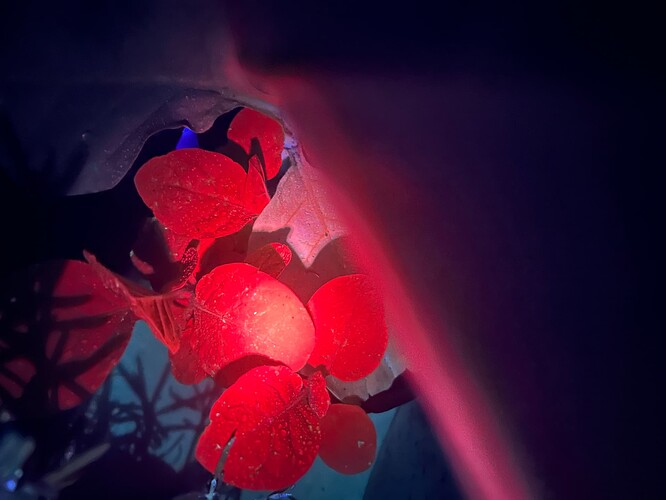 Growreport Bild 7