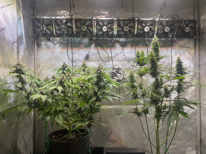 Growreport Bild 2