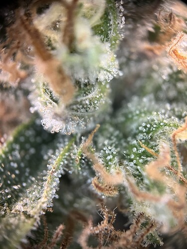 Growreport Bild 24