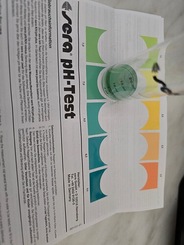Growreport Bild 15