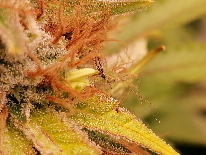 Growreport Bild 5
