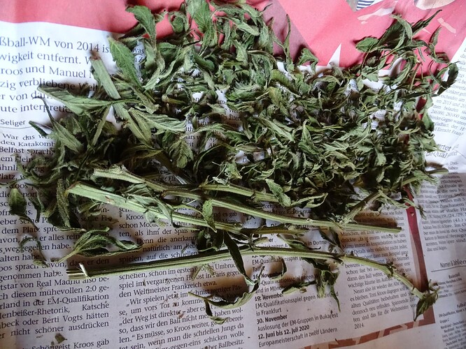 Growreport Bild 3