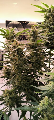 Growreport Bild 21