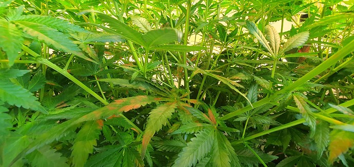 Growreport Bild 9