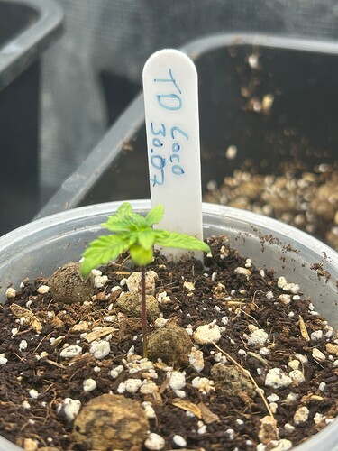 Growreport Bild 2