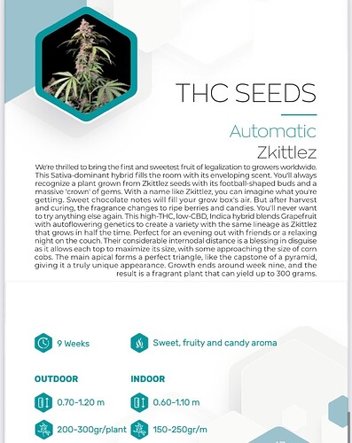 Growreport Bild 20