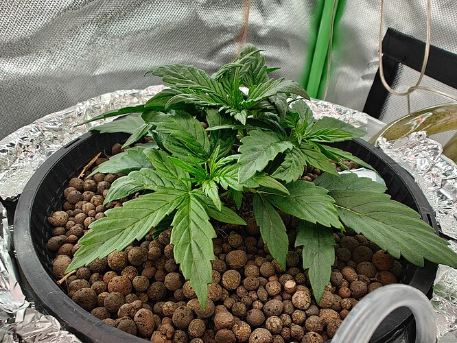 Growreport Bild 19