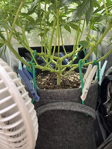 Growreport Bild 5