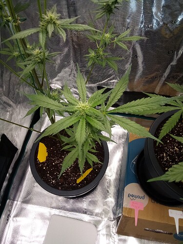 Growreport Bild 5
