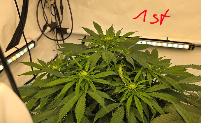 Growreport Bild 14