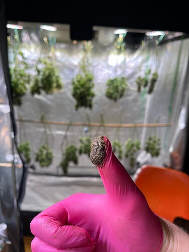 Growreport Bild 9