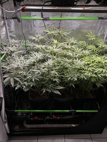 Growreport Bild 11