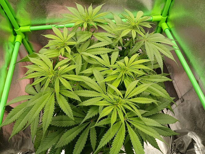 Growreport Bild 16