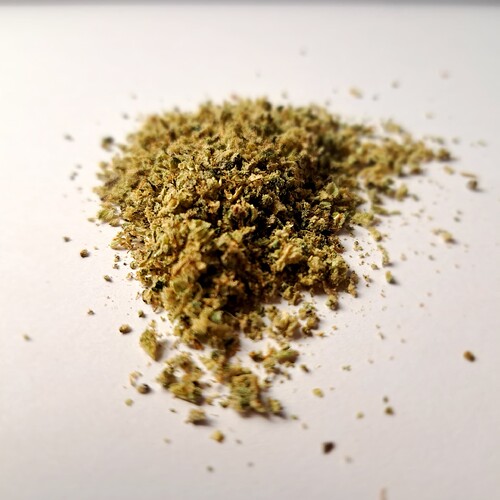 Growreport Bild 36